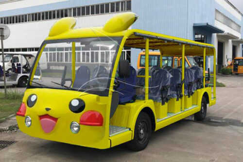 14 seat sightseeing car