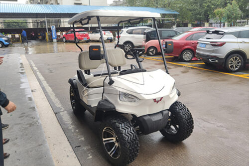 2 seater off road golf cart