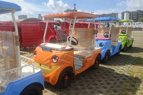 2-seater shared sightseeing car