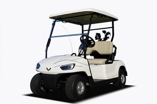 4 wheel golf cart