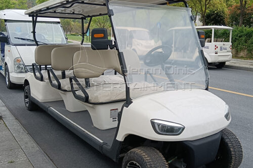 6 passenger golf cart