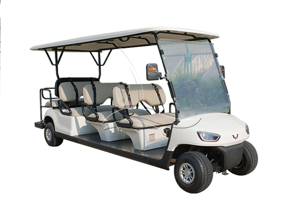 8 passenger Golf Cart for Sale | unique design | 4000-6000 dollars