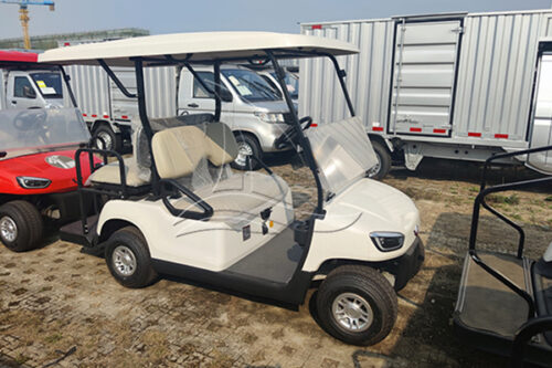 beach golf carts for sale