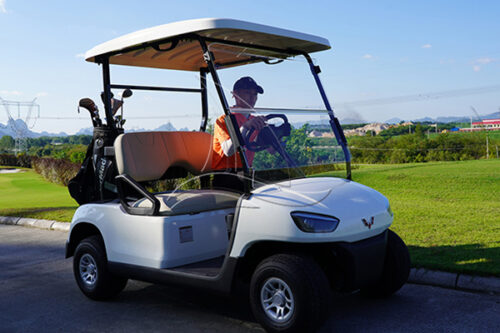 custom golf cart