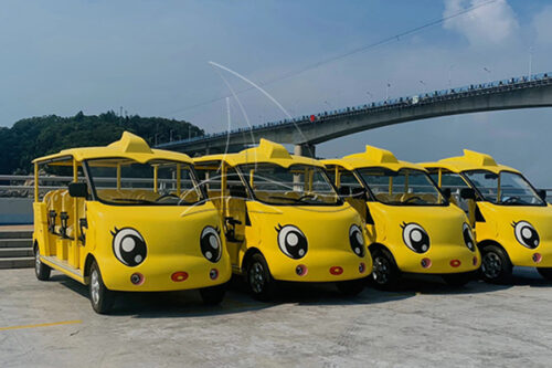 customized sightseeing car