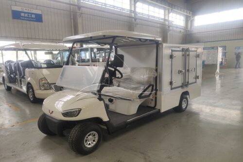 electric food delivery golf cart