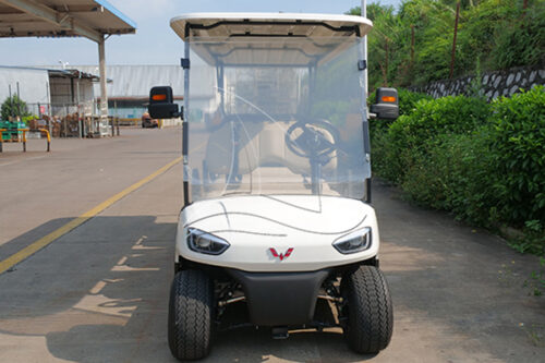 electric golf cart for sale