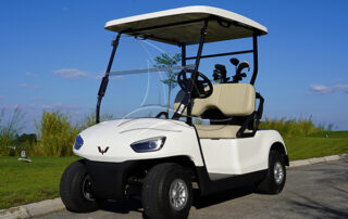 golf cart for sale in Dinis