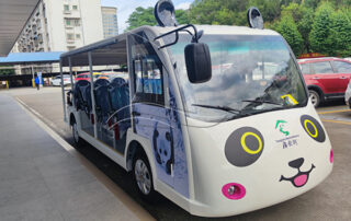 special order--panda shape tourist car