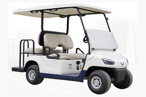 park golf cart