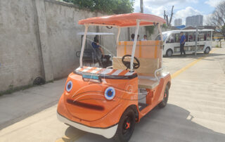 shared tourist car