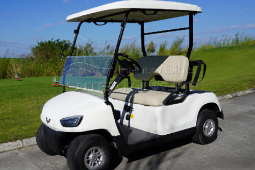 2 seater golf cart