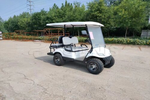 4 seater golf cart in Dinis