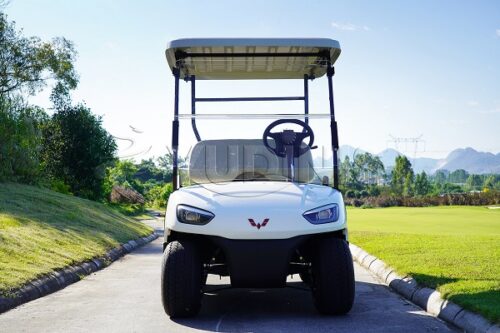 two seater golf cart