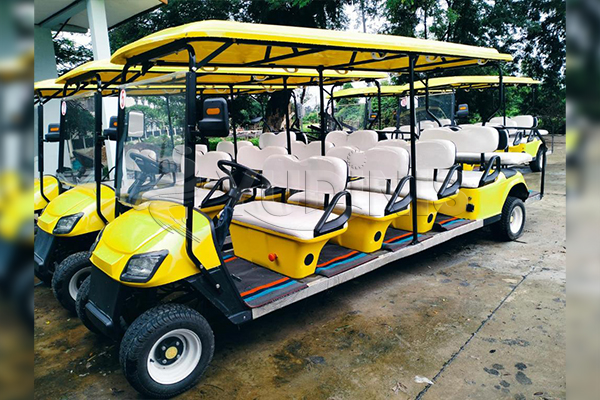 custom 10 seat electric golf cart for American client